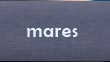 mares
