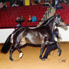 Mares